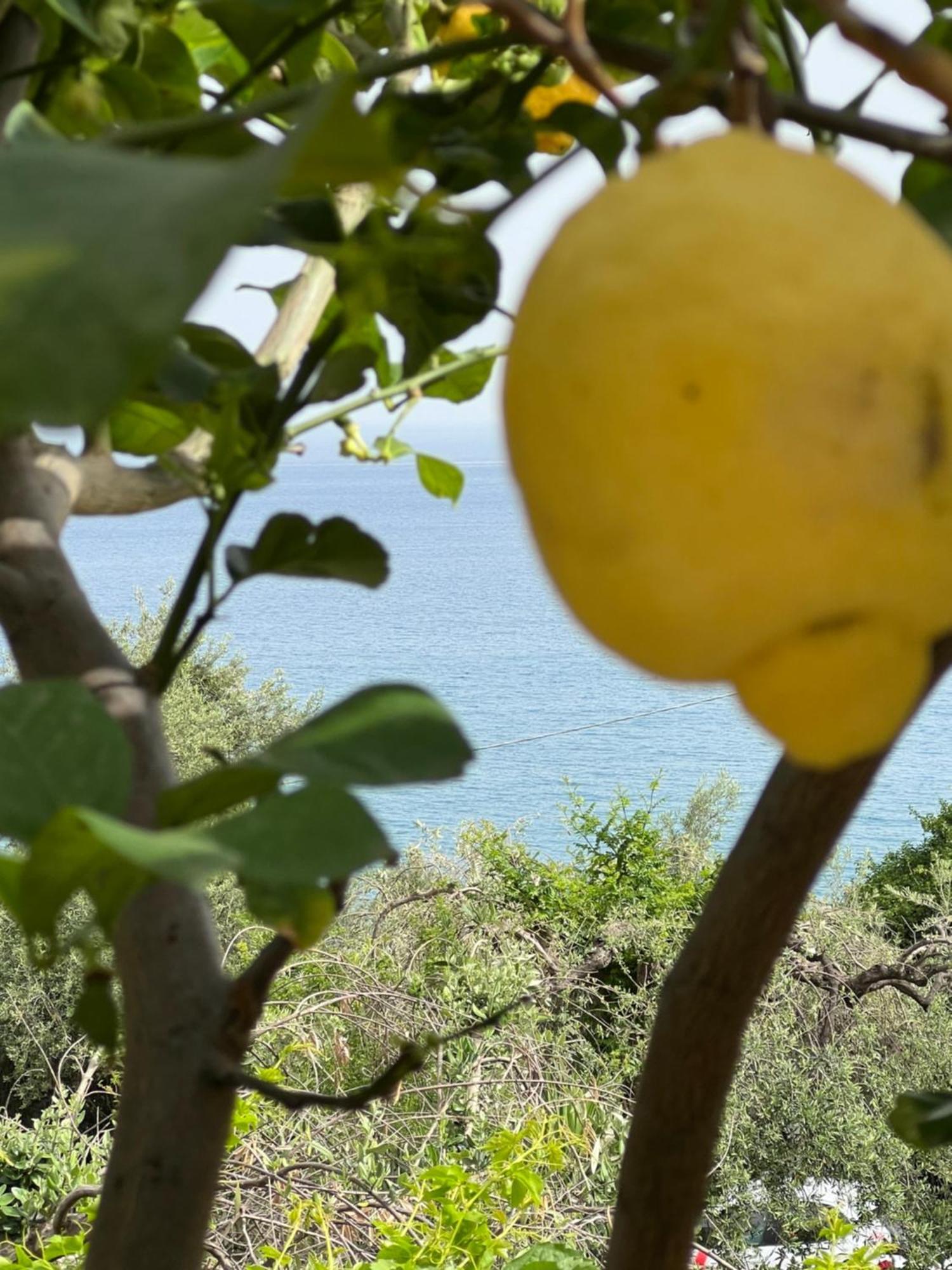 Vila La Casa Dei Ciocio Cefalù Exteriér fotografie
